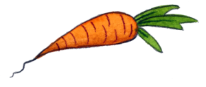 illustration of a carrot